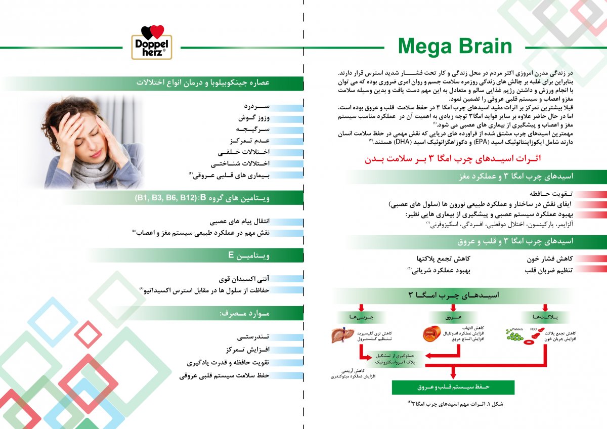 6661- DC Mega Brain-Quisser-(Farsi)_m copy.jpg